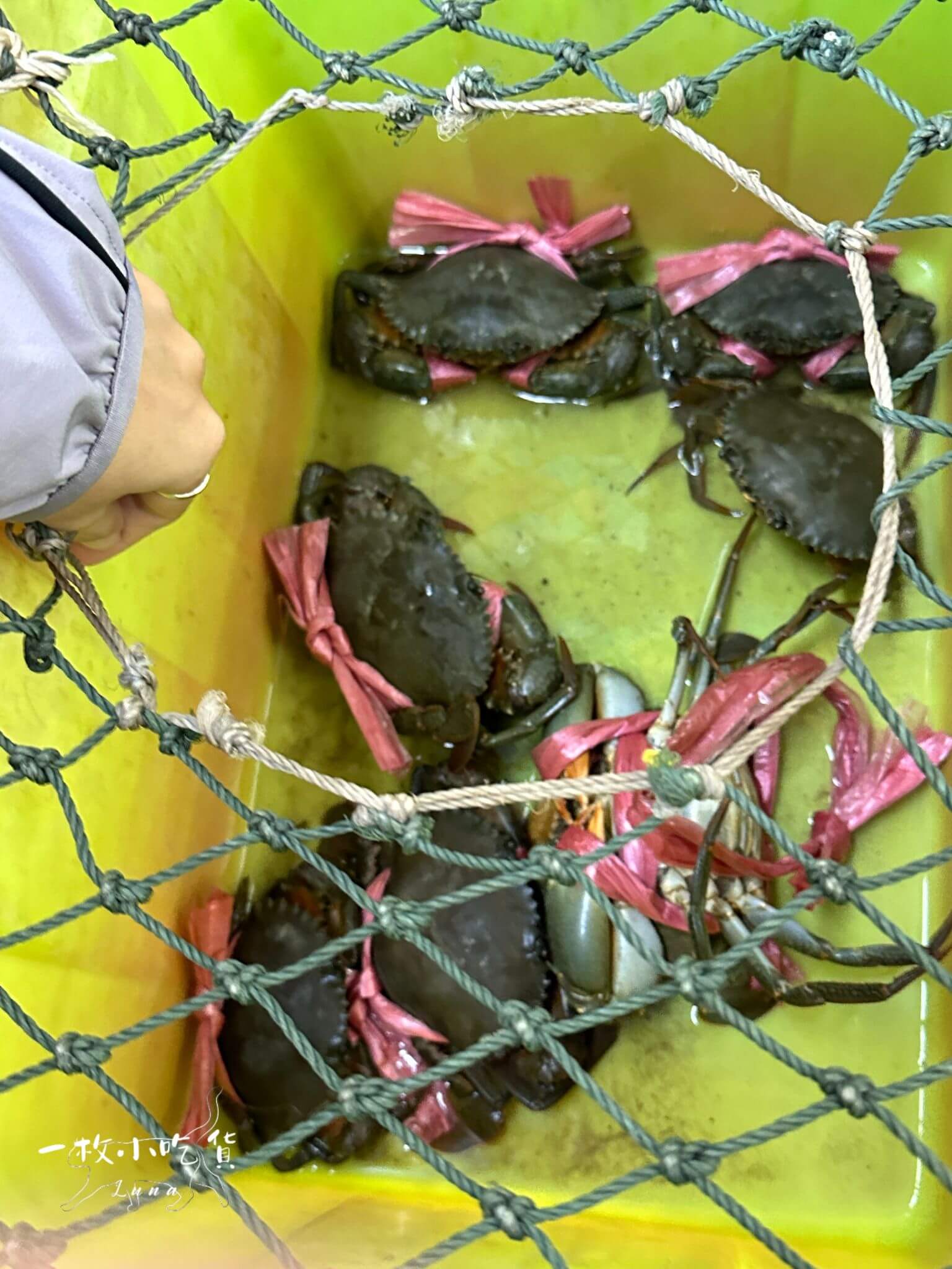 amei fish soup crab tainan8