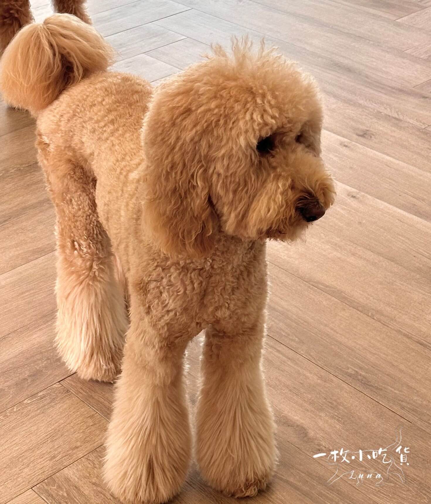 momori cafe storefront15