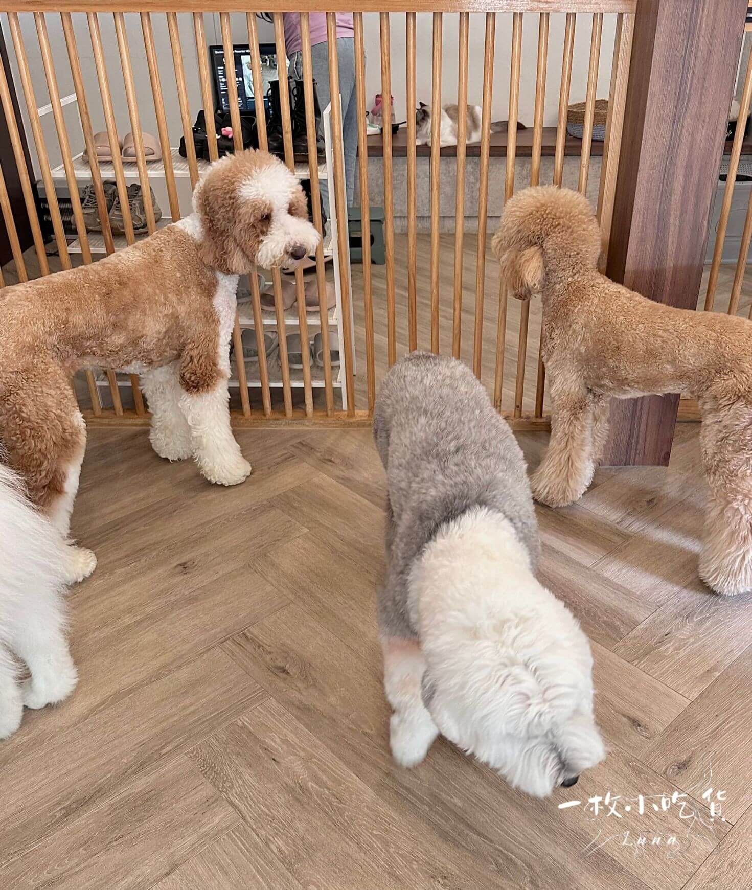 momori cafe storefront16