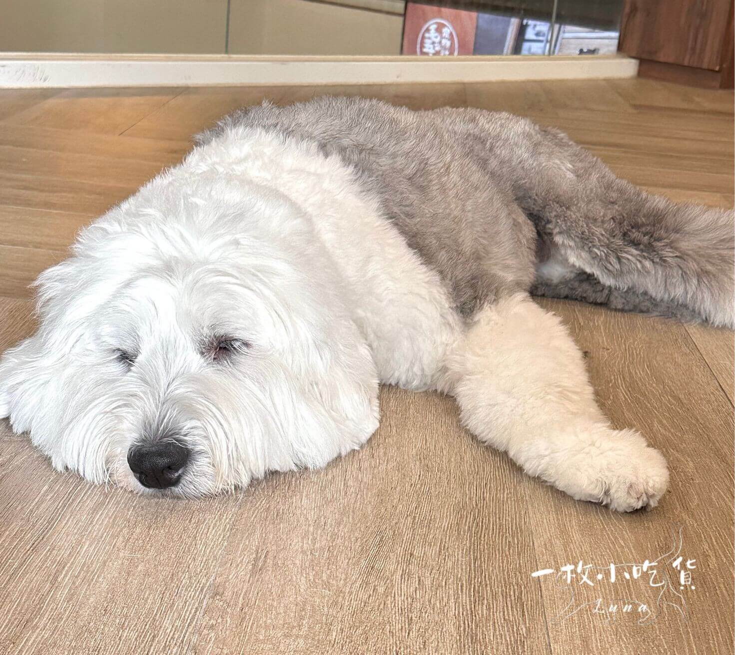 momori cafe storefront3