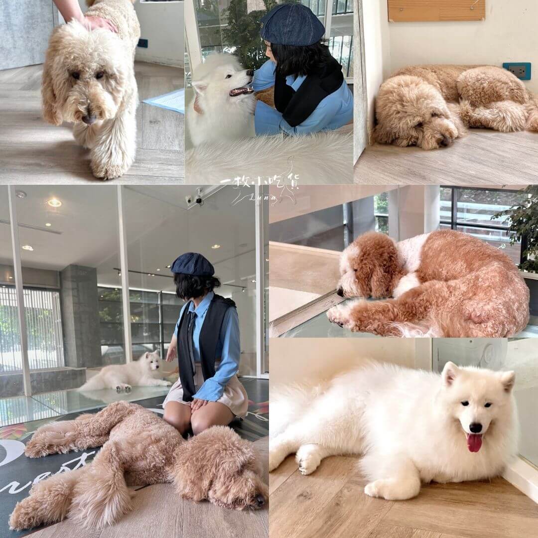 momori cafe storefront31