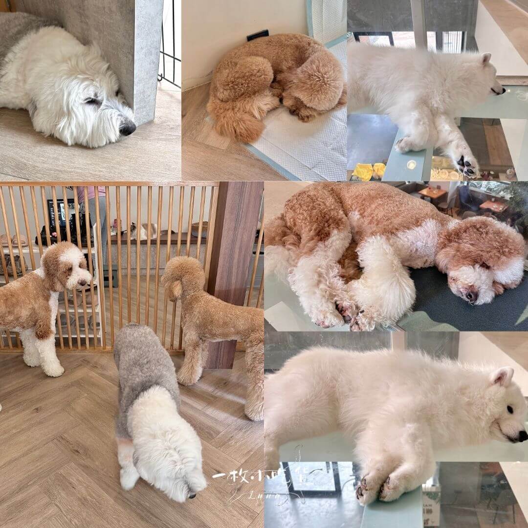 momori cafe storefront32