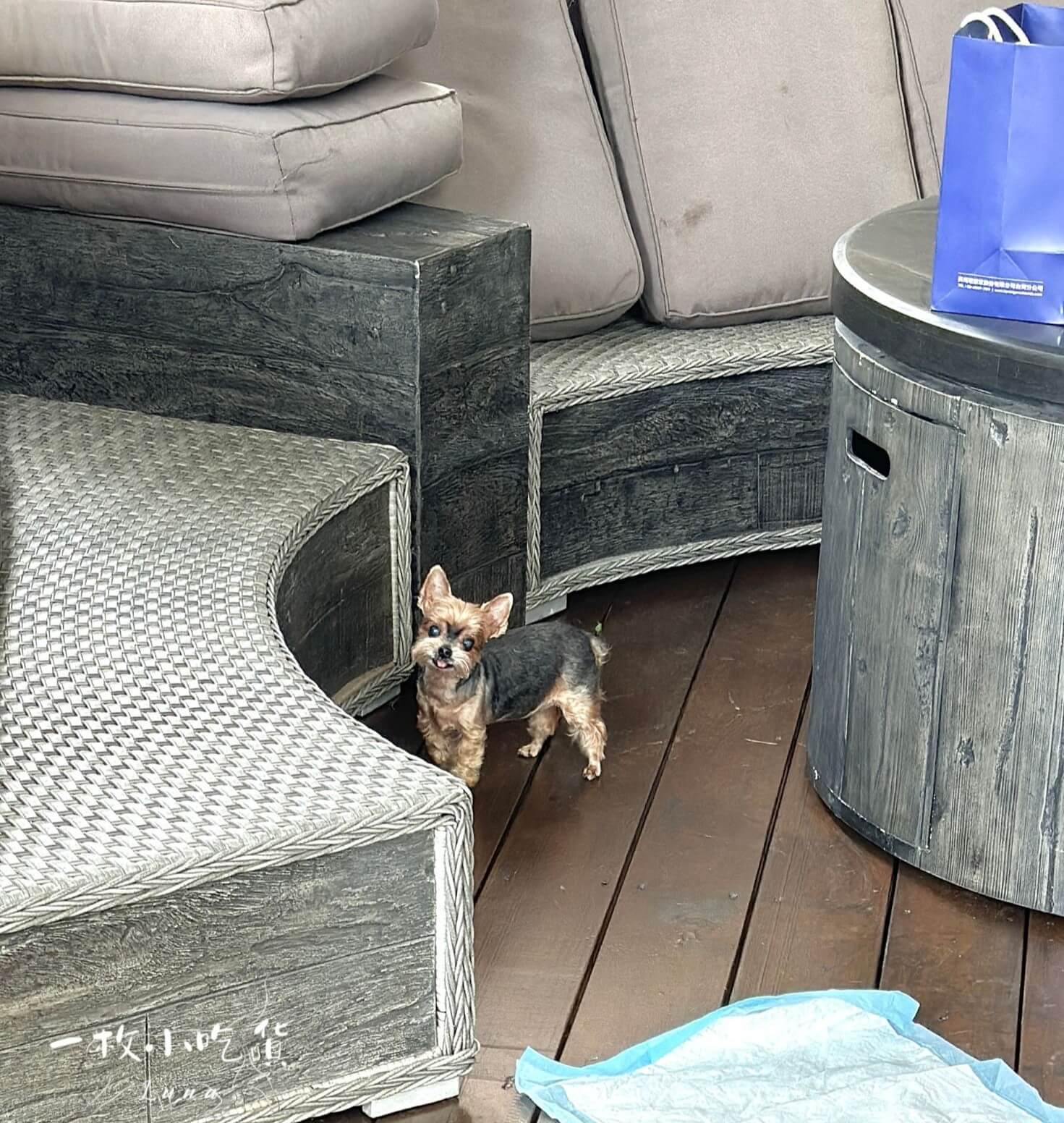 momori cafe storefront33