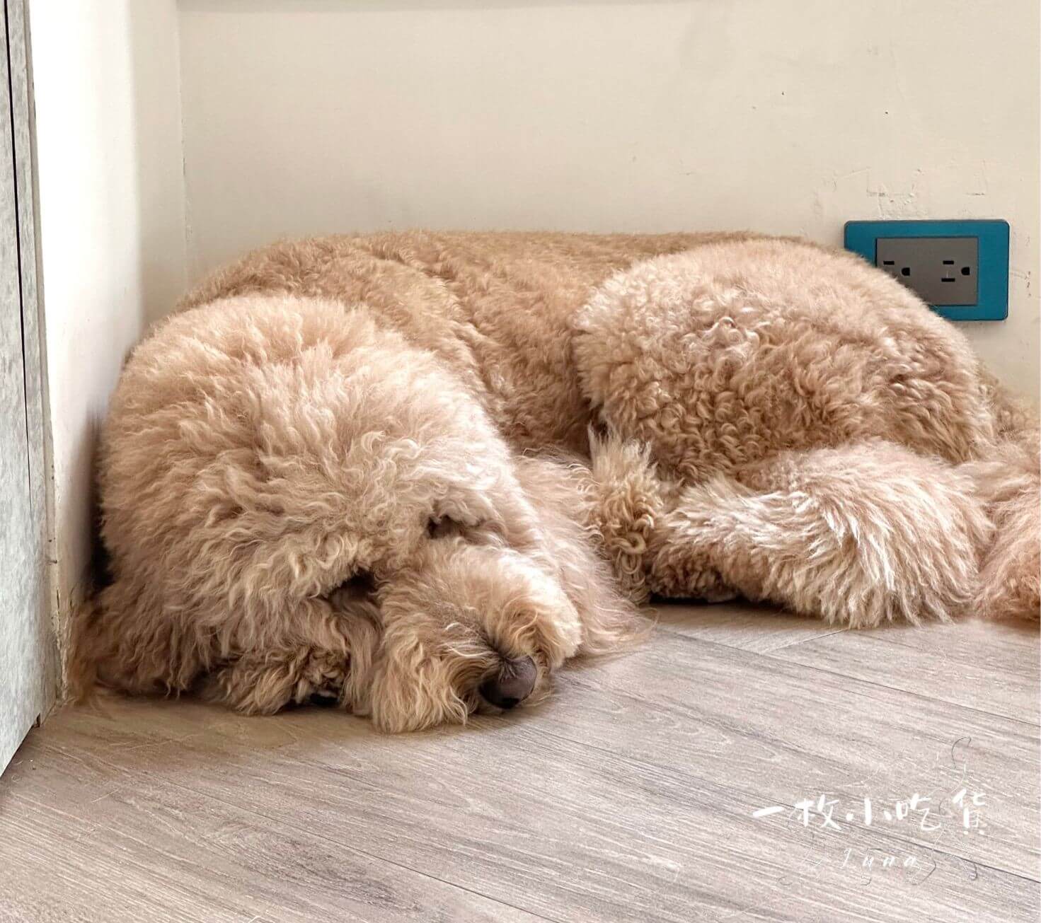 momori cafe storefront4