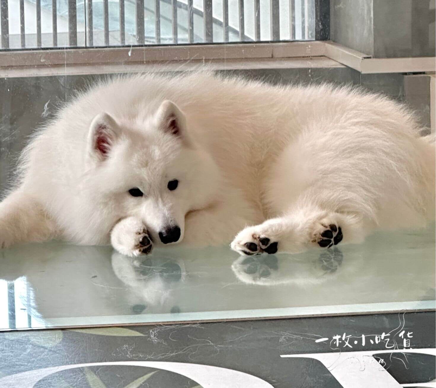 momori cafe storefront5