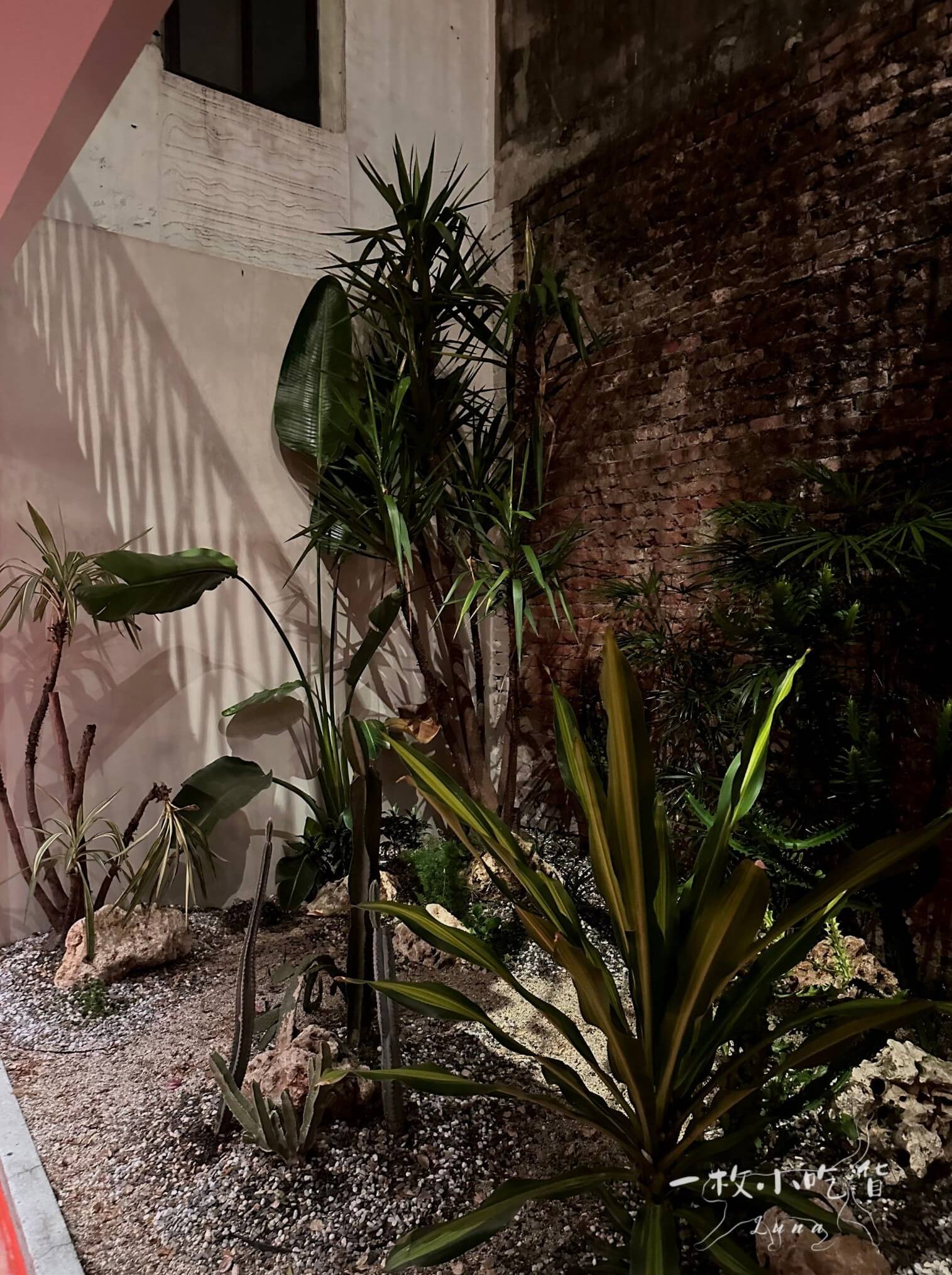 pinoko bubble red tea16