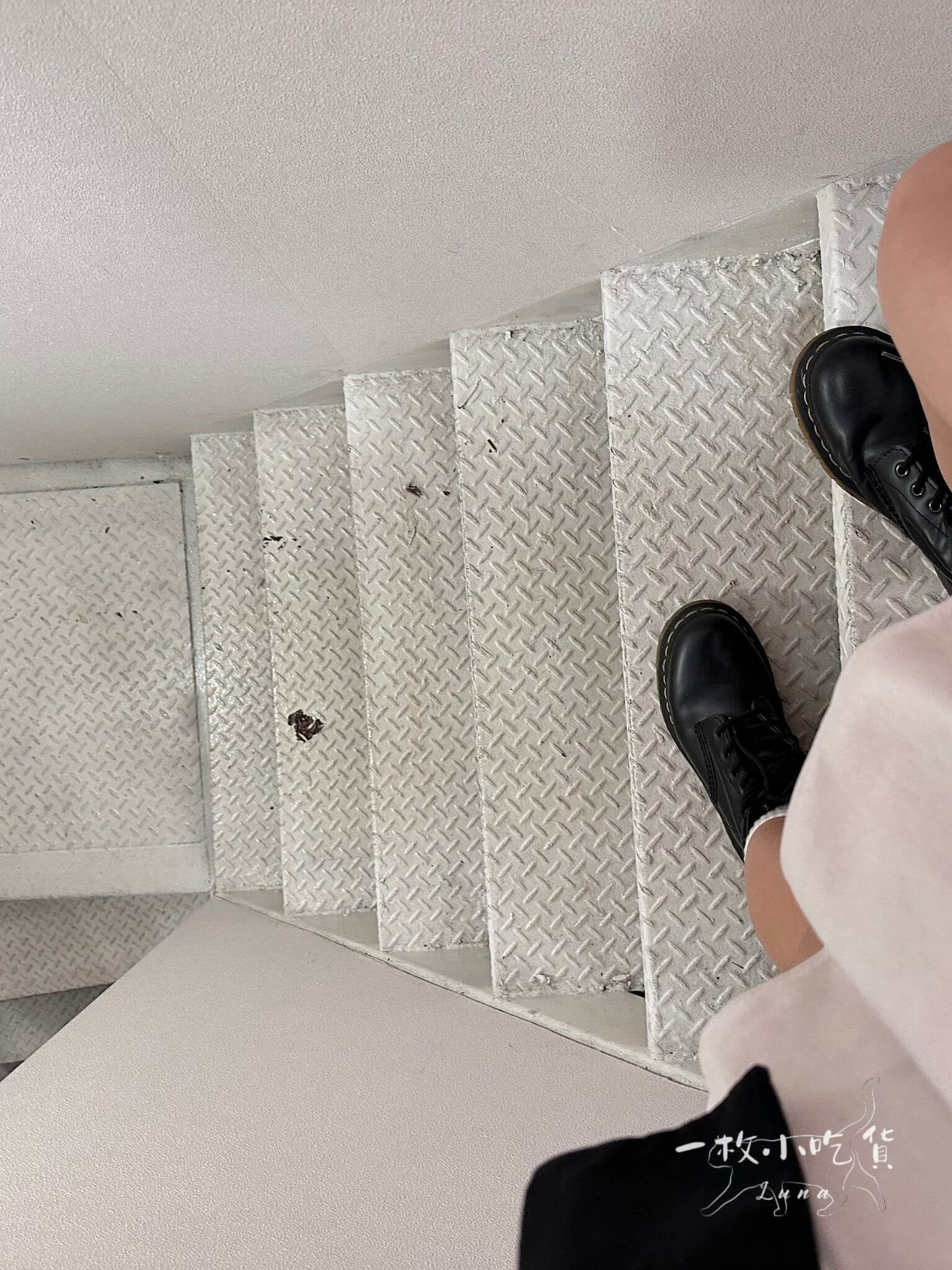 sweetiedog taichung14