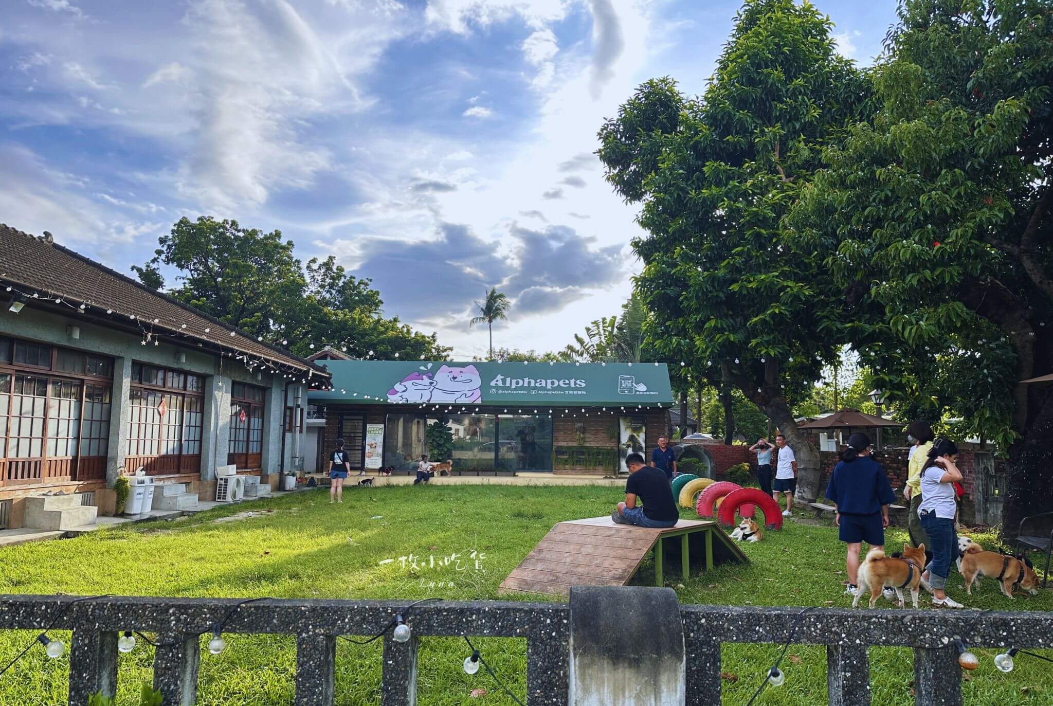 Alphapetstw 艾爾發寵物