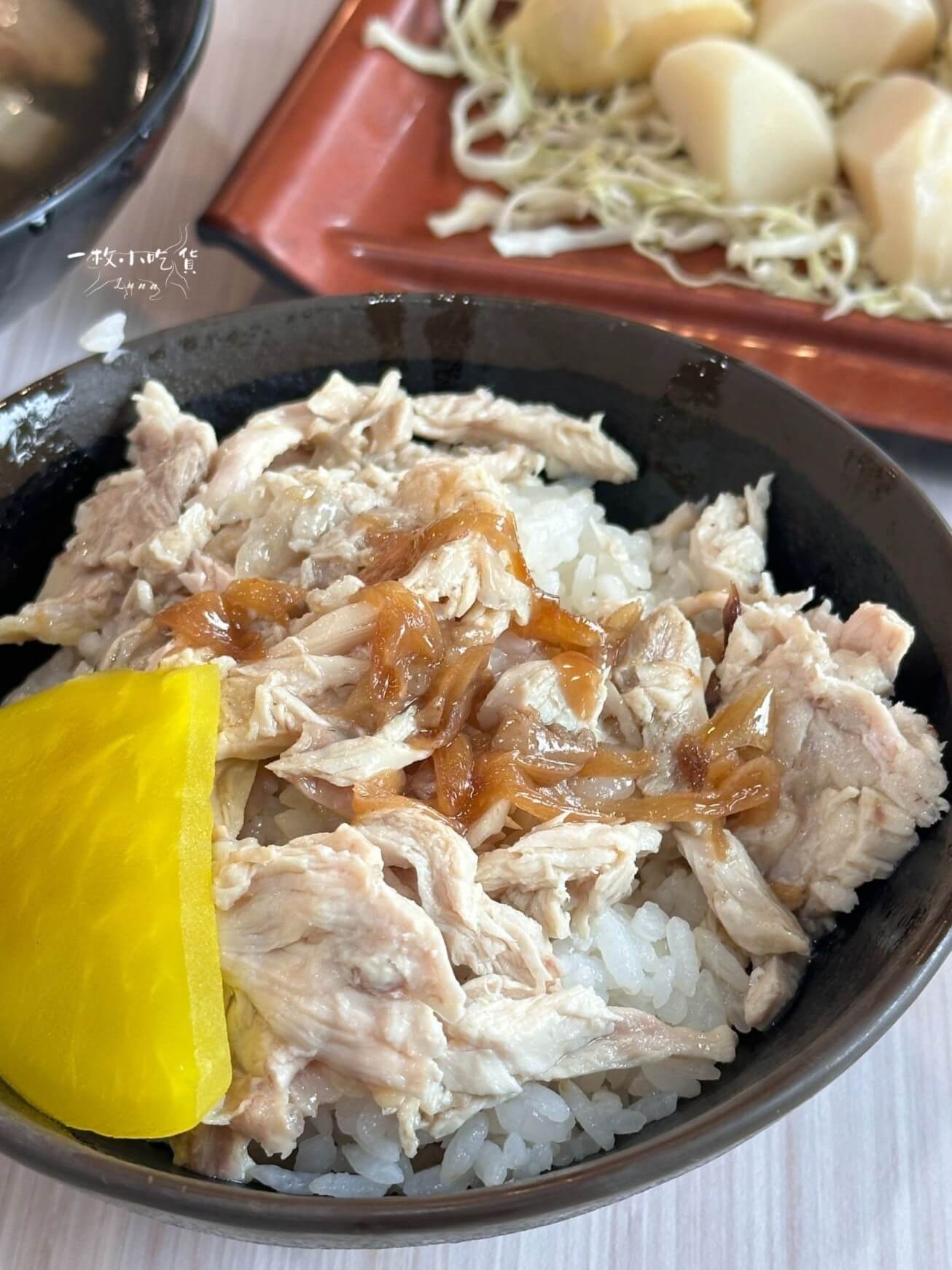 chiayi sprinkling chicken rice2