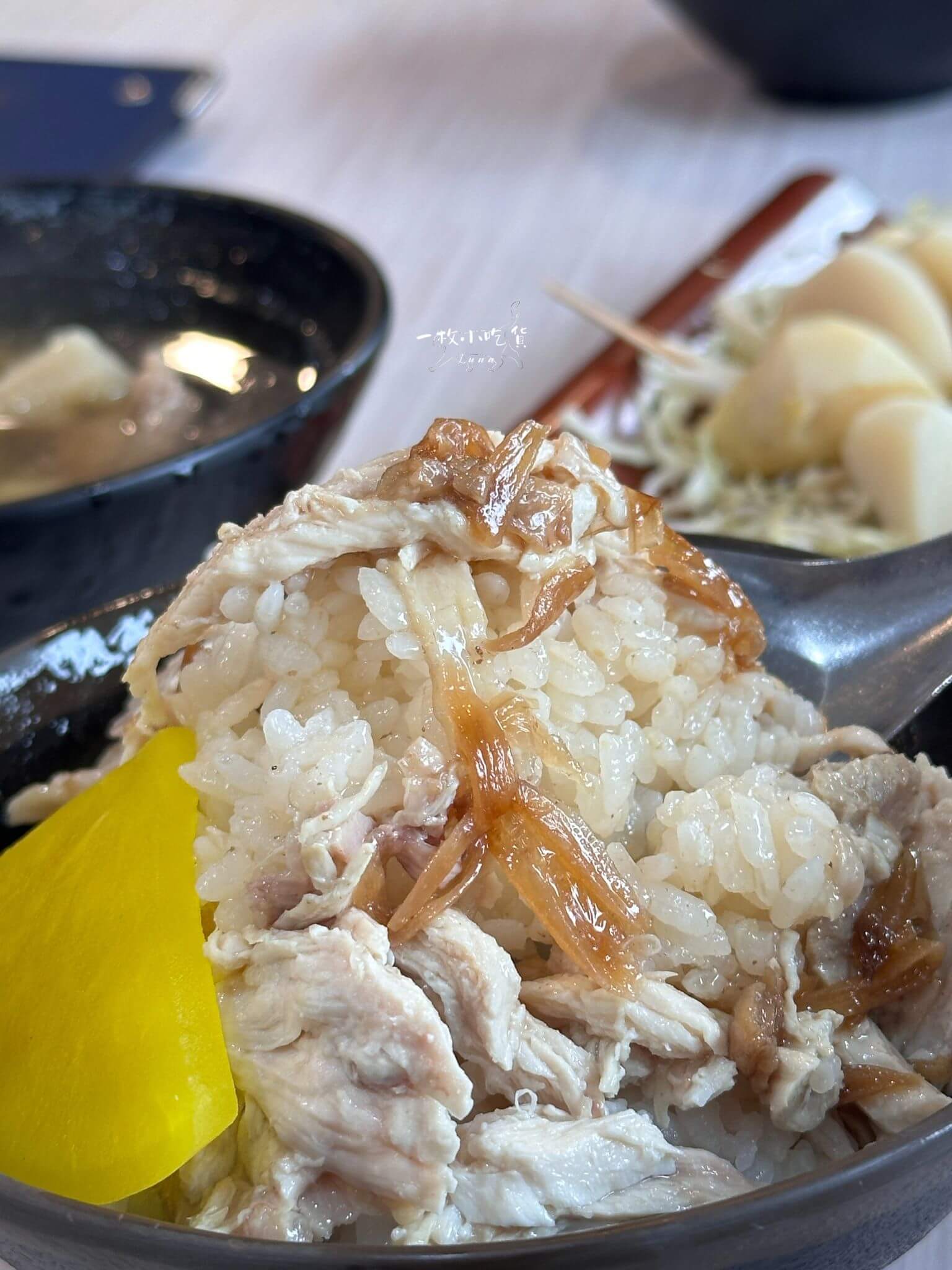 嘉義噴水雞肉飯博愛店