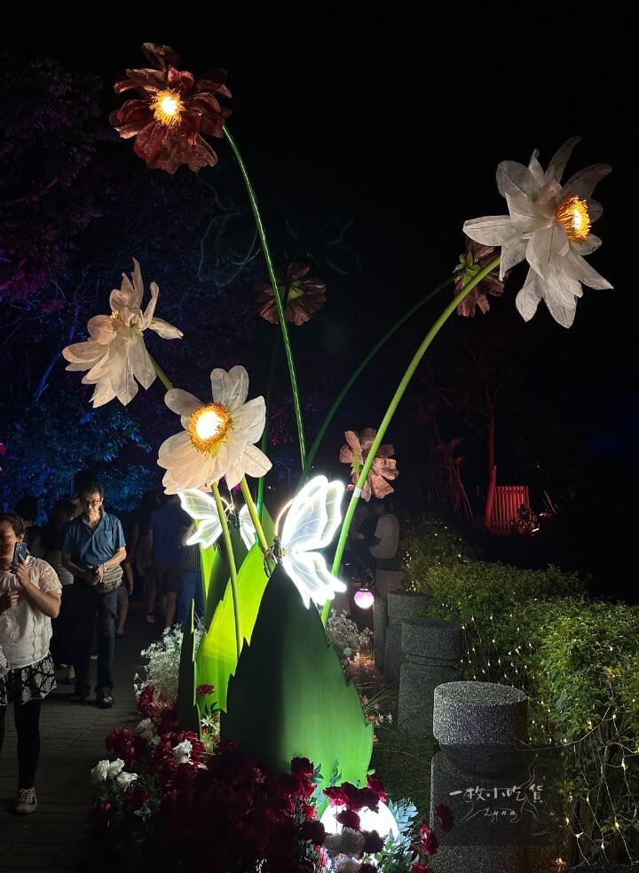 2025Chiayi City Light Weaving Shadow Dance16