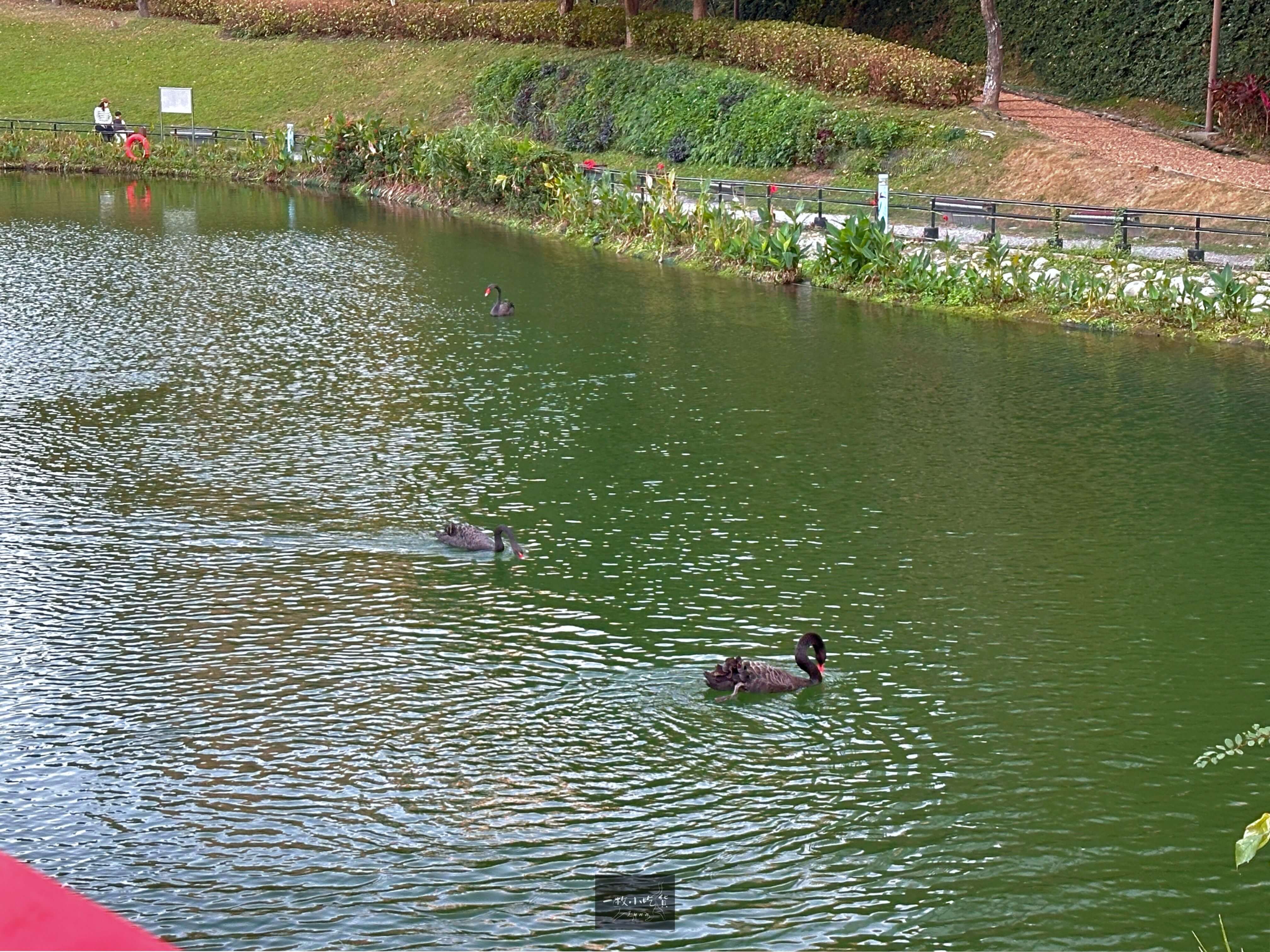 Qiuhonggu landscape ecological park11
